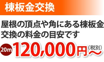 棟板金交換20m、120000円~