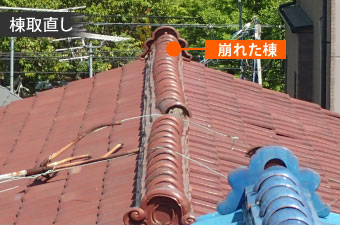 棟取直し