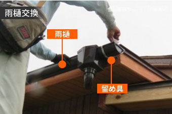 雨樋交換