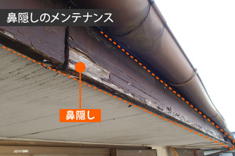 鼻隠しメンテナンス
