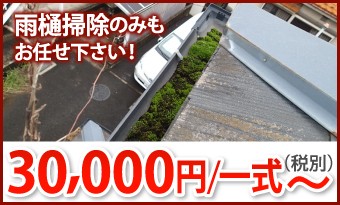 雨樋掃除30000円/一式~
