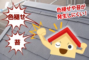 色褪せや苔が発生しないのもグラッサの魅力