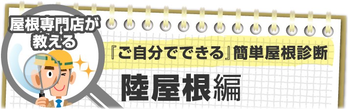 専門家が教える自分でできる陸屋根診断