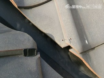 谷部