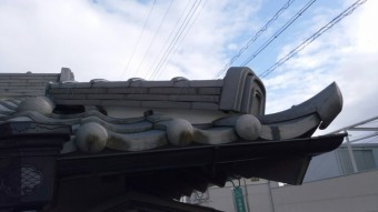 427-columns2