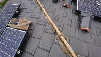 鳥の巣撤去工事