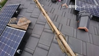 鳥の巣撤去工事