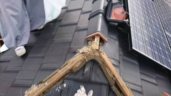 鳥の巣撤去工事