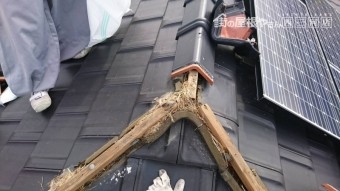鳥の巣撤去工事