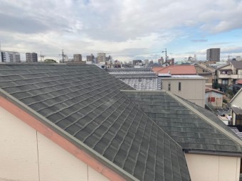 屋根点検