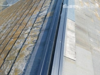 棟板金 台風被害