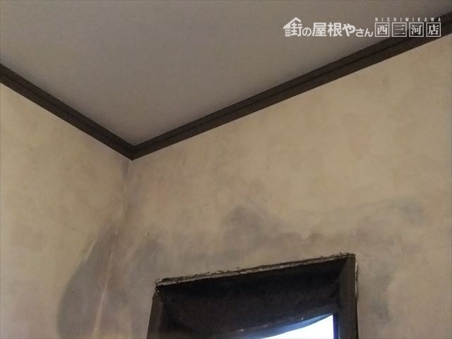 室内クロスカビ