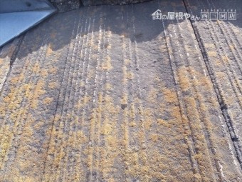セメント瓦 屋根調査