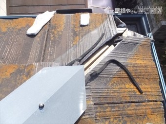 セメント瓦 屋根調査