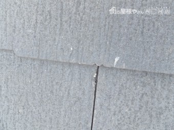 屋根 点検 褪色 カビ