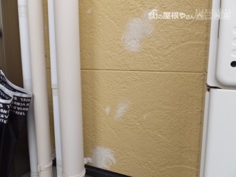 サイディング 塗膜の剥離 外壁点検