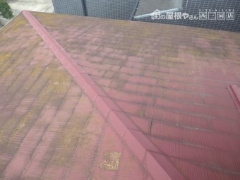 カラーベスト未施工