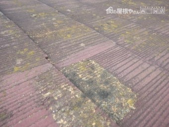 カラーベスト未施工