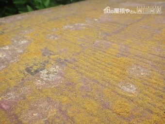 カラーベスト未施工