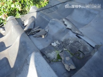 古瓦凍て