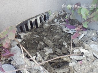 屋上防水