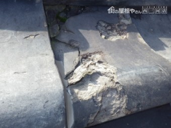瓦の凍て