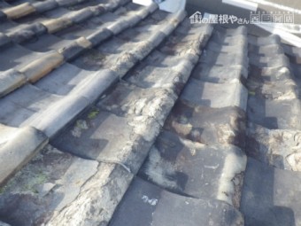 瓦の凍て
