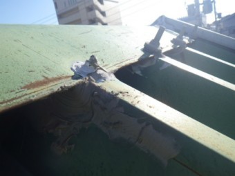折半屋根雨漏れ