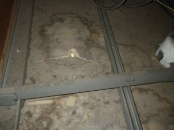 折半屋根雨漏れ