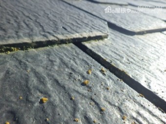 屋根外壁褪色