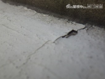 屋根外壁褪色