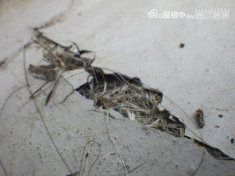 屋根外壁褪色