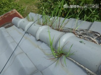 漆喰劣化