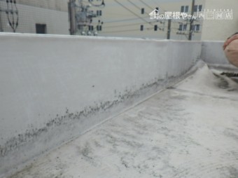 シート防水劣化