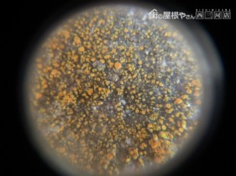 モニエル瓦劣化