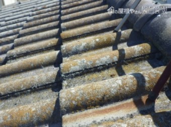 モニエル瓦劣化