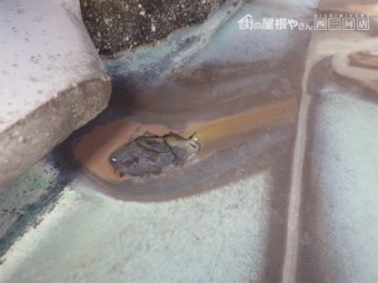 谷板金雨漏れ