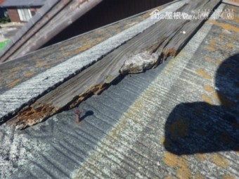 棟板金補修