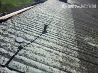 棟板金補修