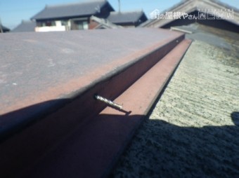 棟板金補修