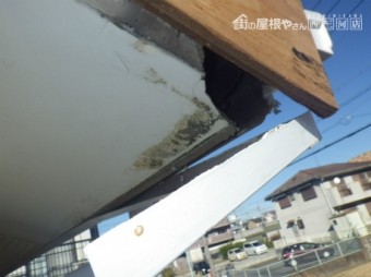 モニエル瓦
