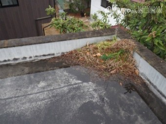シート防水劣化