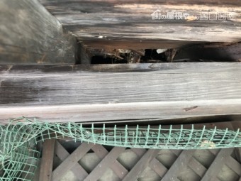 古瓦雨漏れ