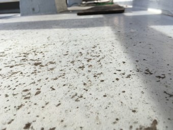 ウレタン防水劣化
