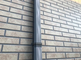IMG_0246-columns2
