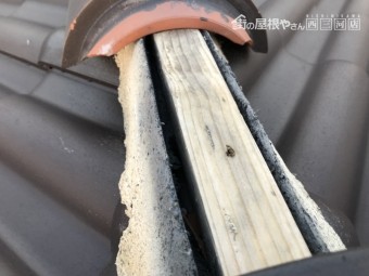 セラマウント台風被害