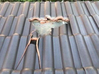 セラマウント台風被害
