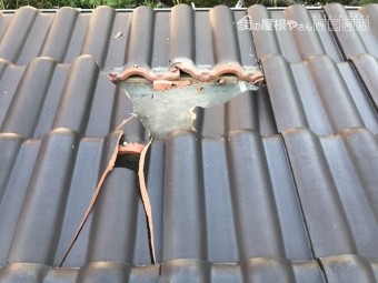 セラマウント台風被害