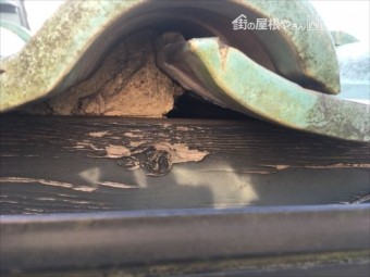 屋根の点検