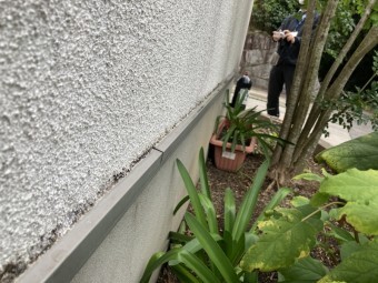 外壁点検